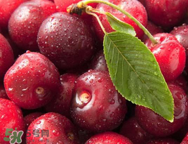 櫻桃什么品種最好吃？櫻桃哪個品種最好吃？