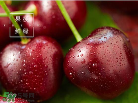 美早櫻桃多少錢一斤？美早櫻桃多少錢一斤2017？