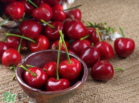 美早櫻桃多少錢一斤？美早櫻桃多少錢一斤2017？