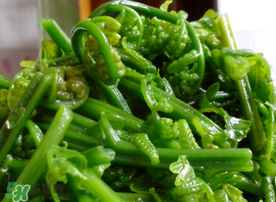 蕨菜什么人不能吃？哪些人不能吃蕨菜？