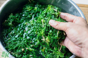 薺菜怎么腌制？薺菜的腌制方法