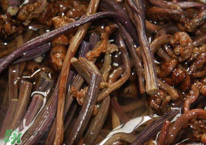 蕨菜能吃嗎？蕨菜可以吃嗎？