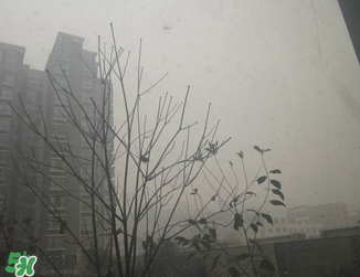 霧霾對孕婦有什么危害？霧霾對胎兒有影響嗎？