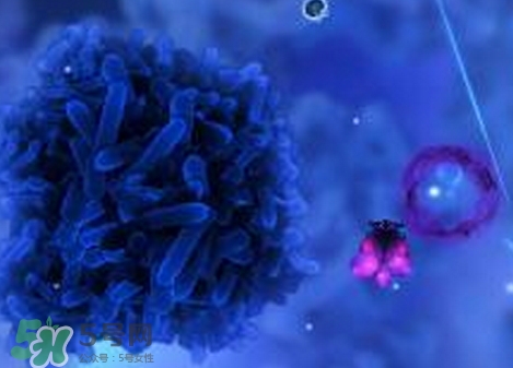 庫波熱病毒是什么?庫波熱病毒有什么癥狀? 庫波熱病毒是什么?庫波熱病毒有什么癥狀?