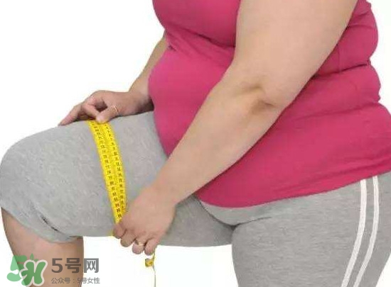 喝水會長胖嗎？喝水會不會長胖