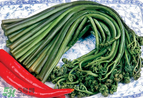 蕨菜有毒嗎？吃蕨菜會(huì)中毒嗎？