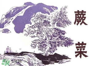 吃蕨菜會(huì)過敏嗎？皮膚過敏能吃蕨菜嗎？