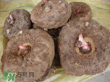 魔芋什么味道？怎么去除魔芋味道？