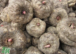 魔芋什么味道？怎么去除魔芋味道？