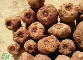 魔芋什么人不能吃？魔芋哪些人不能吃？