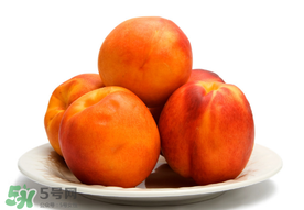 黃桃為什么那么貴？黃桃為什么這么貴？