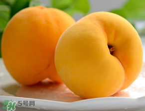 黃桃為什么那么貴？黃桃為什么這么貴？