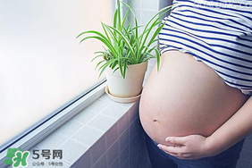 孕婦可以做美甲嗎？美甲對孕婦有什么影響？