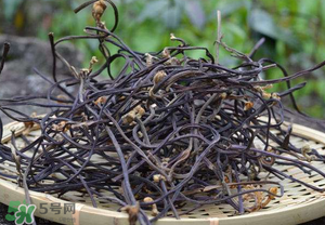 干蕨菜致癌嗎？干蕨菜致癌是真的嗎？