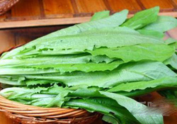 吃油麥菜可以減肥嗎？吃油麥菜能不能減肥？