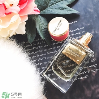 dolce gabanna香水哪款好聞？DG杜嘉班納香水推薦