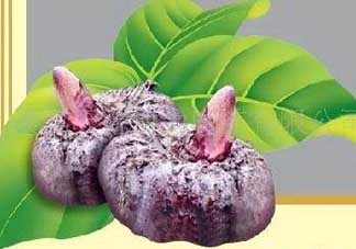 魔芋什么味道？怎么去除魔芋味道？