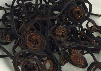 干蕨菜致癌嗎？干蕨菜致癌是真的嗎？