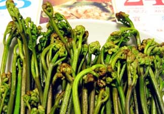 蕨菜有毒嗎？吃蕨菜會中毒嗎？