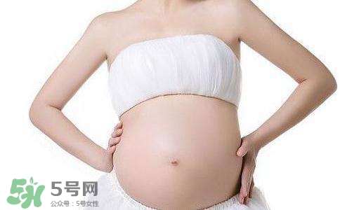 胎盤的功能有哪些 胎盤的功能包括 胎盤的功能有哪些 胎盤的功能包括