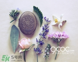 2017固體香膏哪個牌子好？2017固定香膏排行榜