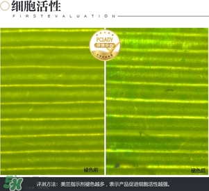 cpb保濕露多少錢(qián)？cpb保濕露專(zhuān)柜價(jià)格