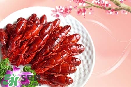 吃小龍蝦喝什么飲料？小龍蝦配什么飲料最好？