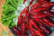 吃小龍蝦喝什么酒？小龍蝦配什么酒最好？