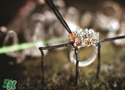 潘多拉2017春季新品好看嗎？pandora2017春季新款珠寶怎么樣？