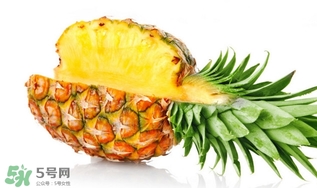怎么挑菠蘿？如何挑選好吃的菠蘿
