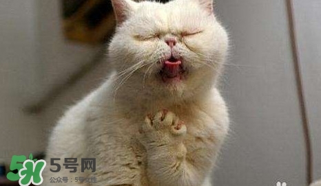 吃魚卡刺窒息死亡 喉嚨卡刺怎么辦小竅門 吃魚卡刺窒息死亡 喉嚨卡刺怎么辦小竅門