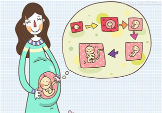 孩子的相貌遺傳誰的？孩子的相貌是遺傳爸爸嗎？