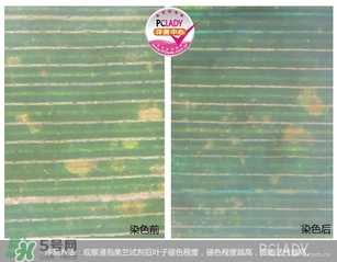 cpb夜乳白天能用嗎？cpb夜乳使用方法