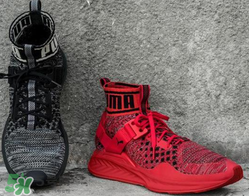 puma襪子鞋正品多少錢？彪馬襪套鞋專柜價(jià)格