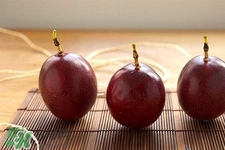 青的百香果可以悶熟嗎？百香果青的能吃嗎？