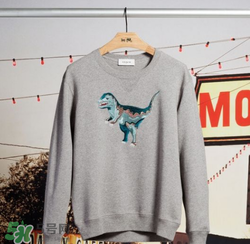 coach膠囊系列好看嗎？coach蔻馳膠囊系列怎么樣？