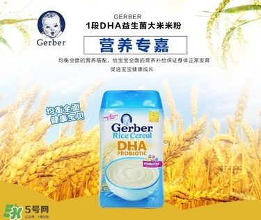 嘉寶DHA米粉怎么樣 嘉寶DHA米粉好不好 嘉寶DHA米粉怎么樣 嘉寶DHA米粉好不好