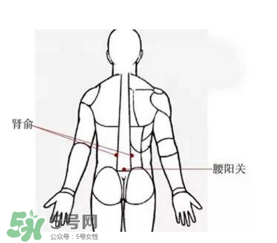 艾灸能減肥嗎？艾灸能不能減肥