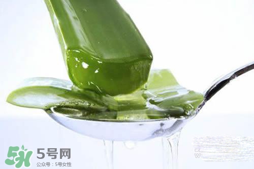 黃瓜水和蘆薈水哪個(gè)好？黃瓜水和蘆薈水功效區(qū)別
