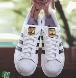 adidas貝殼頭正品多少錢？阿迪達(dá)斯貝殼頭鞋專柜價(jià)格