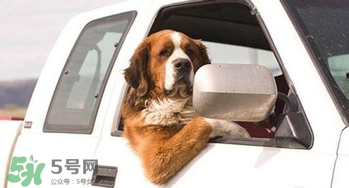 坐車(chē)暈車(chē)怎么辦？坐車(chē)暈車(chē)想吐怎么辦