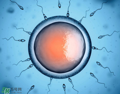 捐20顆卵子會怎么樣？捐20顆卵子有什么后果？