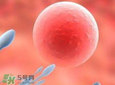 捐20顆卵子會怎么樣？捐20顆卵子有什么后果？