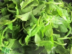 護生草的營養(yǎng)價值_護生草的功效與作用及食用方法 護生草的營養(yǎng)價值_護生草的功效與作用及食用方法