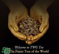 twg茶哪個(gè)最經(jīng)典？twg茶葉哪個(gè)好喝？