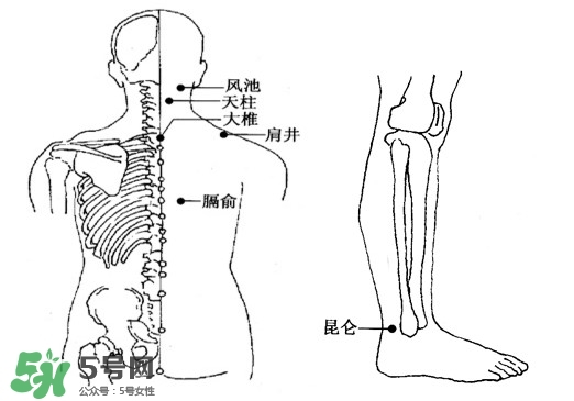 刮痧能治頸椎病嗎？頸椎病刮痧正確圖片