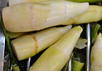 坐月子可以吃春筍嗎？產(chǎn)婦能吃春筍嗎？