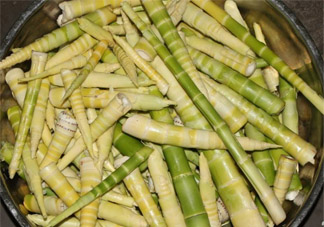 濕疹可以吃春筍嗎？得了濕疹能吃春筍嗎？