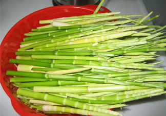 春筍老人能吃嗎？老人吃春筍好嗎？