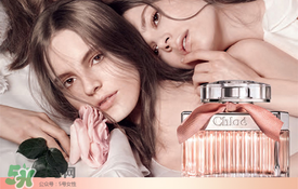 chloe香水是什么檔次？chloe香水哪款好聞？